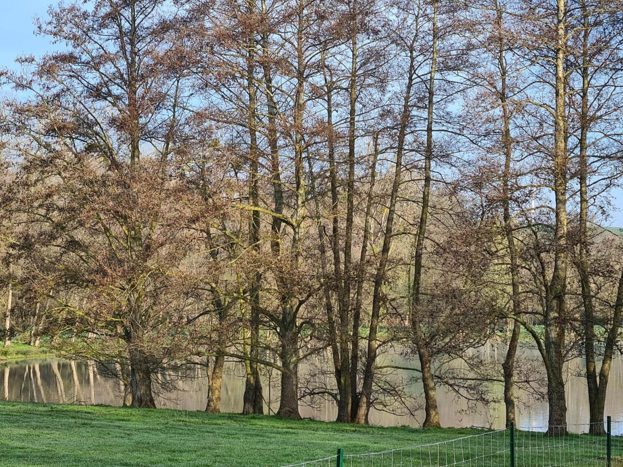 La Taniere Villa Gueures Exteriör bild